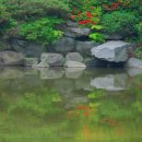 파란잔디
