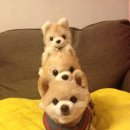 동글동글 이미지