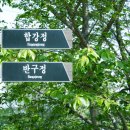 반구정입구 이미지
