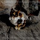 안마보건진료소 | 울릉도 가볼 만한 곳 태하 모노레일 - 광장 반점- 일몰