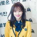 푸들사랑 이미지