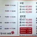 속초항아리보쌈 이미지