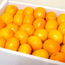 양지청과 이미지