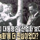 박정희 대통령은 어떻게 국토의 65%를 나무로 덮었을까? 세계가 놀란 '산림녹화' 비하인드 스토리 이미지