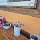 암태한옥민박 이미지