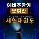 새연태권도 이미지