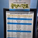 동부로 | 대구 신세계백화점 아쿠아리움 위시캣콜라보 아이랑 실내 가볼만한 곳 인어공주 공연 후기