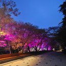 이화상회 이미지