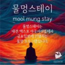 오픈스테이 | 2025 물멍스테이 첫 오픈 / 0815 후기