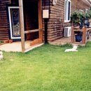 통나무민박2 이미지