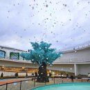 원예테라피(야간) | 순천 아이와 가볼만한곳 순천만국가정원 겨울 코스