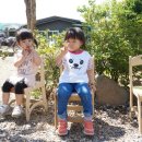 요미야 놀자 이미지