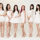 베리 이미지