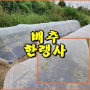 (텃밭) 배추 한랭사 설치하기 이미지