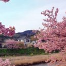 하우스본본 이미지