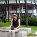 적중초등학교 이미지