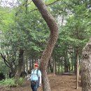 엄광산 동구경계 이미지