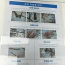 모리온두피탈모 이미지