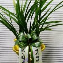 꽃동산꽃집
