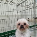 금비동물병원 이미지