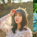 은하전자 이미지