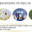 아망도그플레이스 이미지
