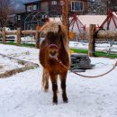 아쿠아마린 글램핑 이미지