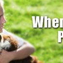 로얄동물메디컬센터w 이미지