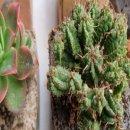 종일목장 이미지