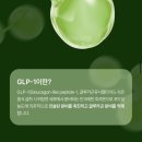 돈의보감 | 보감 비책 내 돈 내산 후기 시작.