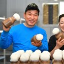 최병현농장 이미지