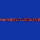 커넥트플러스