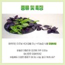 오팔농장 이미지