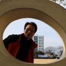 세화수목 이미지