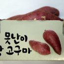 못난이 - 목포시 수문로 48 | 못난이