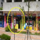 세종시 반곡동 수루배 마을 3단지 2022년 1~5월 현재 매매현황 이미지