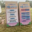 서울바베큐 | 노을공원 [서울 바베큐 페스타 2025] 일요일 방문 후기