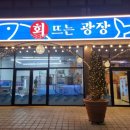회뜨는광장