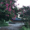 의령 탐진안씨 문중 정려각 이미지