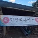 영게스트하우스5