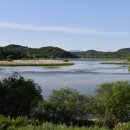 창녕 우포늪 이미지