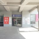 용인 건강검진 센터 방문 후기 연세미래체크업의원