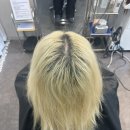 안녕, 애기 | 백금발 잠시 안녕! 자연스러운 톤다운으로 '외국 애기 머리색' 변신 후기 👶🏻👩🏻 수원미용실