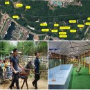 국제장애인진단 표준, 발달장애 “브레인우드 에듀페어” 3월 개교뉴런 4H 교육복지학교 게임중독 예방·재활교육도 실시 이미지