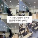 영어학원 울산외고 졸업생들이 전하는 울산외고대입전략 “외고에서 살아남기” 강연후기 (25년1월24일)