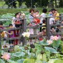 황새공원 다목적광장 이미지