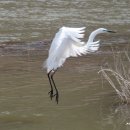 중대목장 이미지