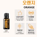 B단헤어