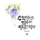 🏰 연중 제14주간 이미지