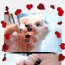 수원-0602 이미지